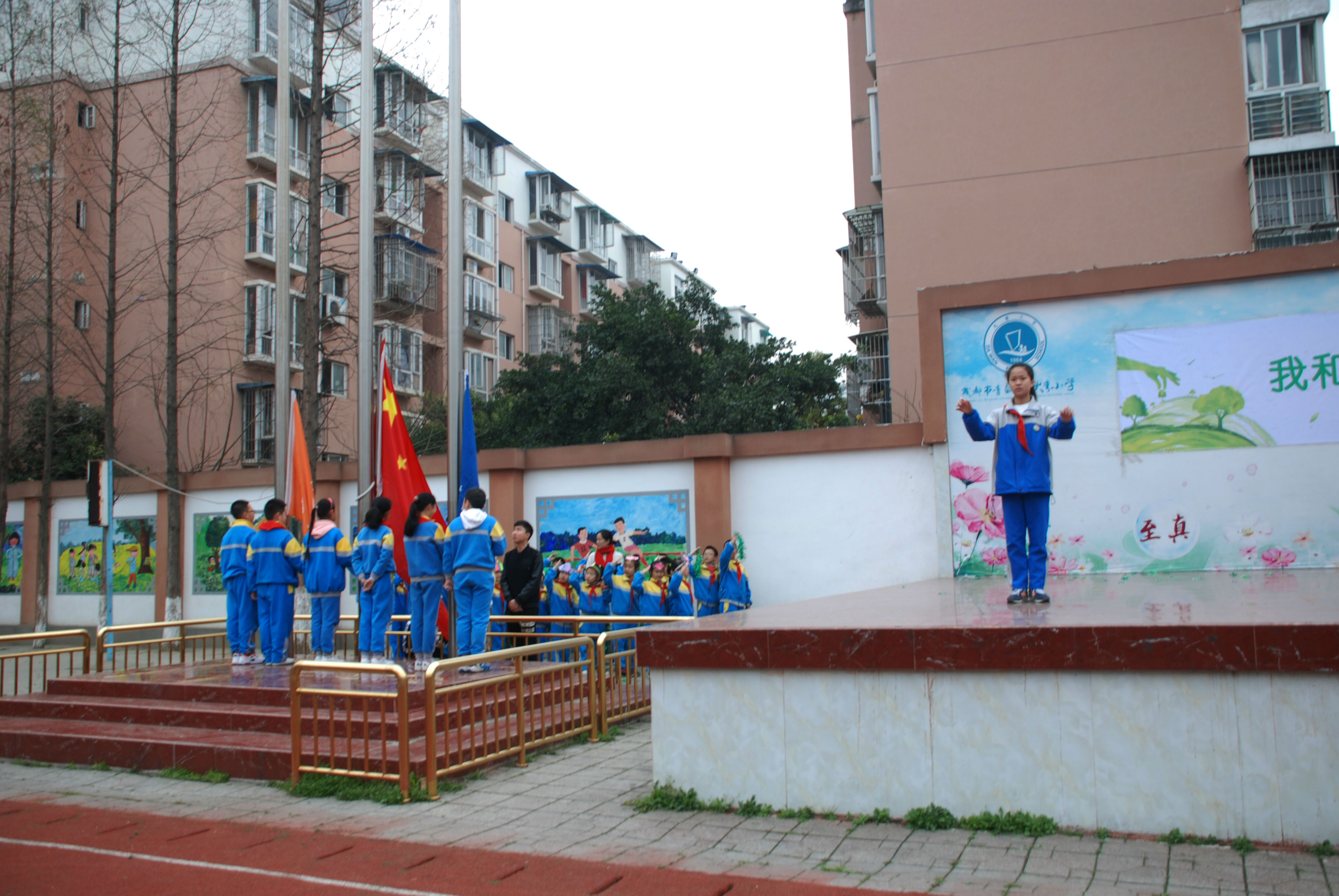 绿色小天使 (1).JPG