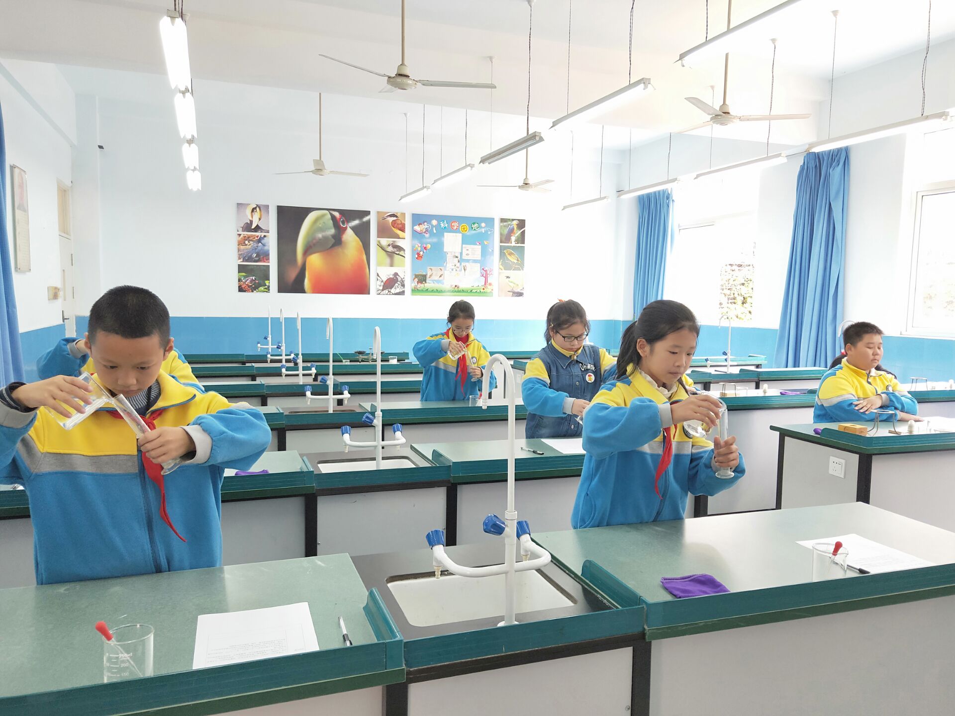 2018-10-23大弯小学迎接区实验教学评估检查 (3).jpg