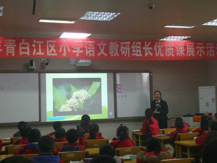 姚渡学校教研组长展示课 (3).JPG