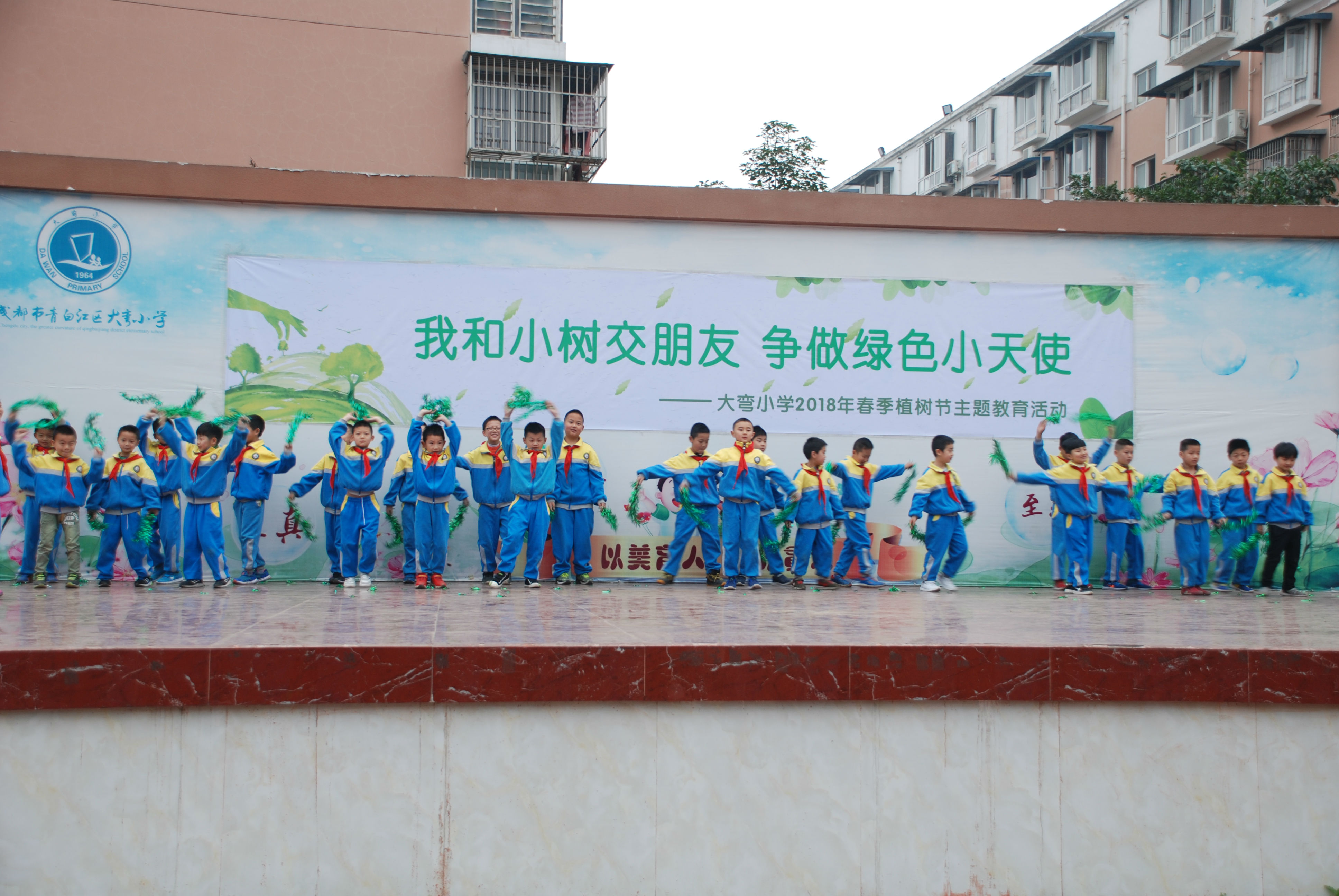绿色小天使 (5).JPG
