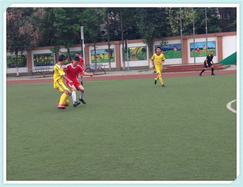 QQ图片20150526092333.jpg